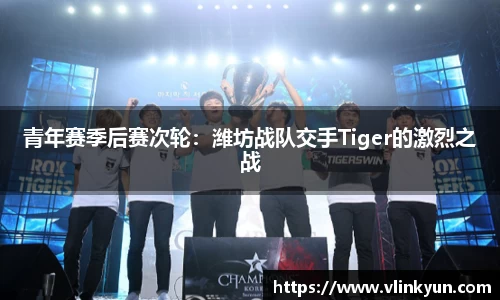 青年赛季后赛次轮：潍坊战队交手Tiger的激烈之战